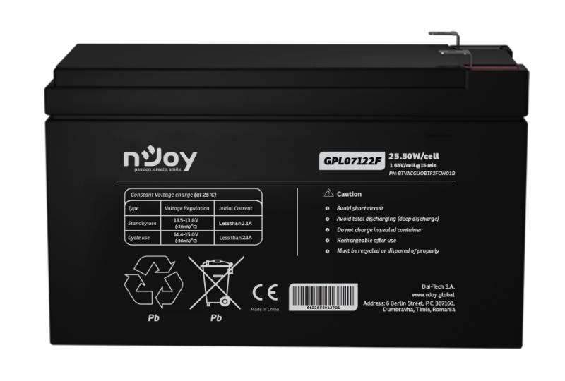 Acumulator nJoy GPL07122F 12V 22.72W/cell, Capacitate 22.72W/cell evaluat la 1,65V/cell@15 - imagine 6