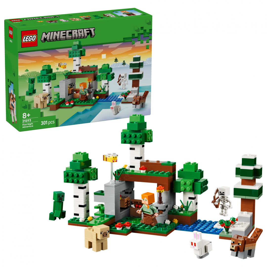 PRIMA AVENTURA PE TIMP DE NOAPTE LEGO21593